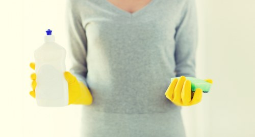 Payment and invoice details for a carpet cleaning service