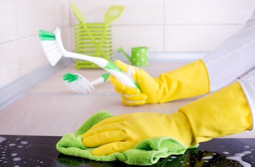 Step-by-step rug cleaning process for delicate and modern rugs