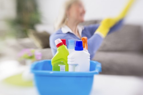 Deep cleaning treatment for pet odours in Greenford homes