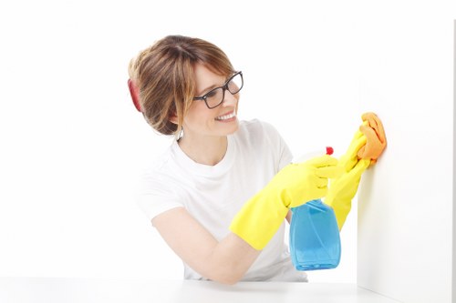 Professional carpet cleaning process in Greenford