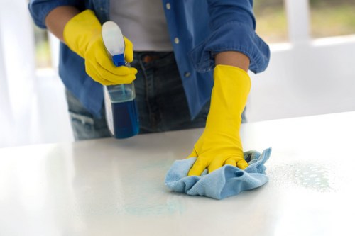 Customer service review process after a carpet cleaning appointment
