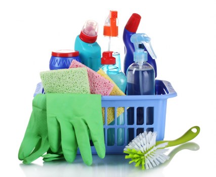 Professional carpet cleaning equipment in use during a scheduled booking